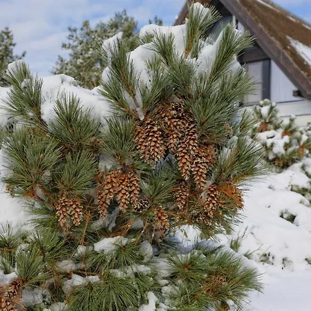 Kapitaensweg 2 Kajuete 08